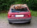Foto: FF Markt Piesting 20080707_unwetter_piesting_01_4
