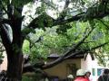 20080707_uwoed_094