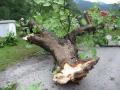 20080707_uwoed_107