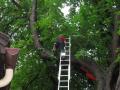20080707_uwoed_109