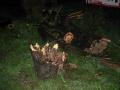 20080720_unwetter_01