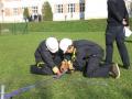 20081018_fjfaft-st_02