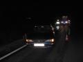 20081109_fz-berg-steinabr