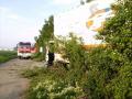 2009-05-18_vu_lkw_b60_5