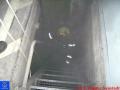 20090220_bewn_02 20090220_bewn_02