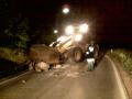 20090518_ff_wopfing_steinschlag_02