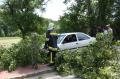 20090609_te_frohsdorf_001