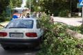 20090609_te_frohsdorf_003