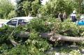 20090609_te_frohsdorf_004