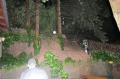20090624_unwettereinsatz_027