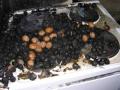 20091206_kellerbrand_ffmarktpiesting_02