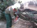 Foto: FF Brunn a.d. Schbgb. 2009_1_10_brun_schbgb_brand_3