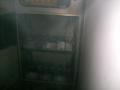 20100218_fildan_3