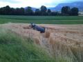 20100718_ffmuth_01 20100718_ffmuth_01