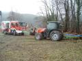 20110114_ffop_baum6
