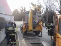 Foto: FF Wiener Neustadt 20110223_tierrettung_wr_neustadt_01