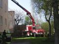 Foto: FF Markt Piesting 20110410_sturmschaden_pic03