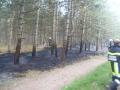 20110607_waldbrand_2