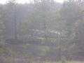 20110607_waldbrand_4