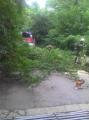 20110619_ffop_baum4