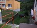 Foto: FF Wopfing 20110907_vu_gemeindeamt_waldegg_001
