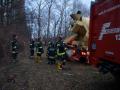 20120229_afkdo_hochwassersteinabrckl04 20120229_afkdo_hochwassersteinabrckl04
