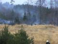 Foto: FF Frohsdorf 20120322_waldbrand_frohsdorf_001