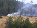 Foto: FF Frohsdorf 20120322_waldbrand_frohsdorf_003