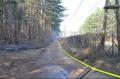 Foto: Einsatzdoku.at 20120322_waldbrand_winzendorf_002
