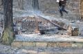 Foto: Einsatzdoku.at 20120322_waldbrand_winzendorf_003