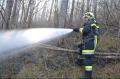 Foto: Einsatzdoku.at 20120322_waldbrand_winzendorf_004