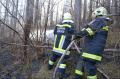 20120322_waldbrand_winzendorf_005