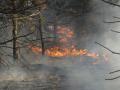 20120325_waldbrand_wrn_002