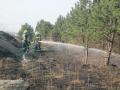 20120325_waldbrand_wrn_003