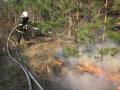 20120325_waldbrand_wrn_008