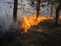 20120325_waldbrand_wrn_009