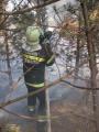 20120325_waldbrand_wrn_010