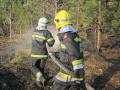 20120325_waldbrand_wrn_011