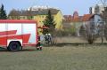 20120403_flurbrand_felixdorf_eido_0001