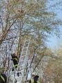 20120409_tierrettung_zillingdorf_bw_002