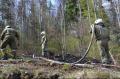 Foto: FF Gutenstein 20120429_flurbrand_mariahilfberg_008