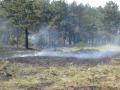 20120509_waldbrand_gm_4
