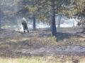 20120509_waldbrand_gm_6