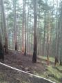 Foto: FF Neusiedl 20120620_waldbrand_neusiedl_002