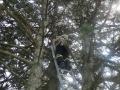 20120731_tierrettung_dreistetten_001