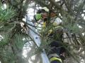 20120731_tierrettung_dreistetten_002