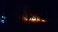 20120804_waldbrand_gm_2