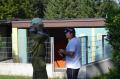 Foto: Einsatzdoku.at 20120819_clorgas_waldegg_002