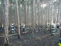 2012_03_25_waldbrand_marktpiesting_02