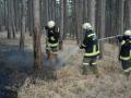 Foto: FF Markt Piesting 2012_03_25_waldbrand_marktpiesting_04